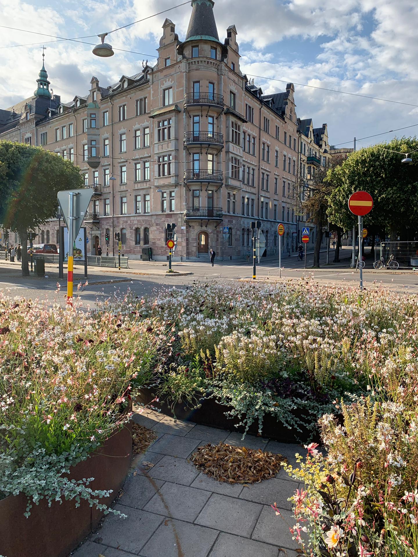 natuurlijke tuin